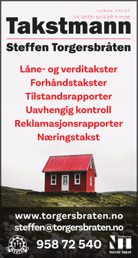 Annonse i Ringerikes Blad