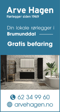 Annonse på trykk i Ringsaker Blad