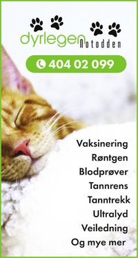 Annonse på trykk i Telen
