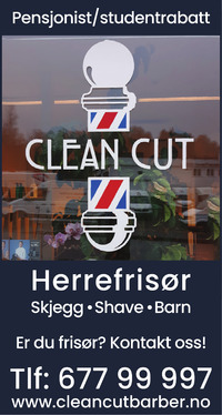 Annonse på trykk i Budstikka