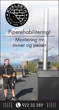 Annonse på trykk i Laagendalsposten