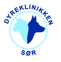 Dyreklinikken Sør AS