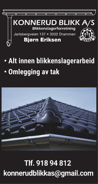 Annonse i Drammens Tidende - Bygg og fagfolk