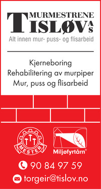 Annonse i Steinkjer-Avisa