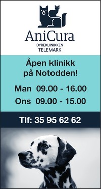 Annonse i Telen
