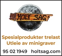 Annonse i Sarpsborg Arbeiderblad - Bygg og fagfolk