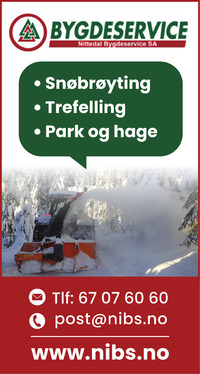 Annonse i Varingen