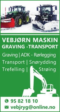 Annonse på trykk i Sande Avis