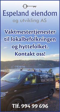 Annonse i Tvedestrandsposten