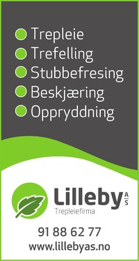 Annonse i Øyene