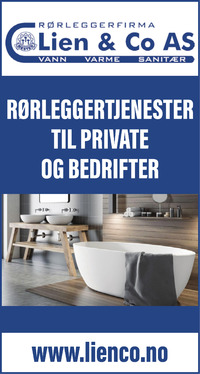 Annonse i Oppland Arbeiderblad - Bygg og fagfolk