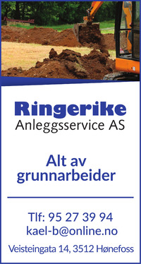 Annonse på trykk i Ringerikes Blad