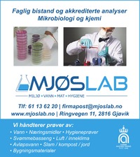 Annonse på trykk i Oppland Arbeiderblad