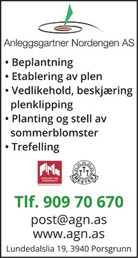 Annonse i Porsgrunns Dagblad