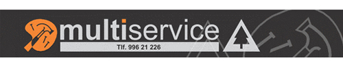 Multi Service Maruis Haugom