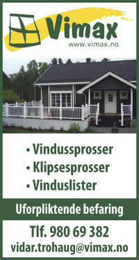 Annonse på trykk i Telemarksavisa