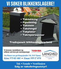 Annonse på trykk i Øyene