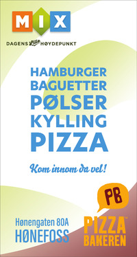 Annonse på trykk i Ringerikes Blad
