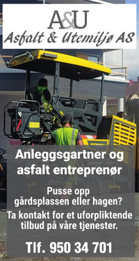 Annonse i Oppland Arbeiderblad - Bygg og fagfolk