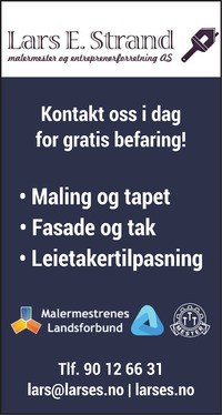 Annonse i Romerikes Blad