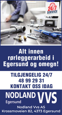 Annonse i Dalane Tidende - Bygg og fagfolk