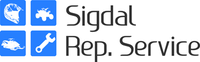 Sigdal Rep service Emil Skare