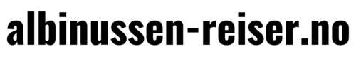 Logoen til POLAR TOURS AS