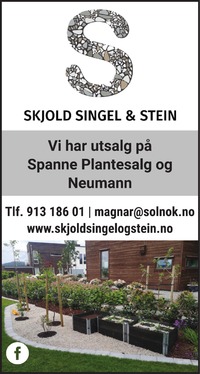 Annonse i Haugesunds Avis - Bygg og fagfolk