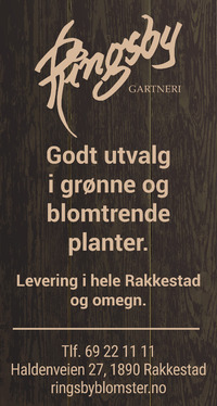 Annonse på trykk i Rakkestad Avis