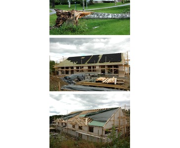 Trefelling forsikring