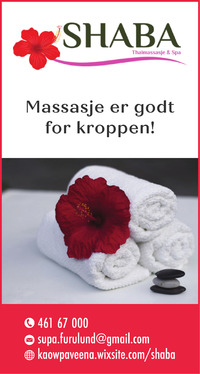 Annonse på trykk i Budstikka