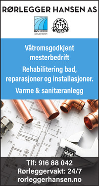 Annonse på trykk i Drammens Tidende