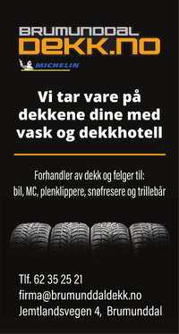 Annonse på trykk i Ringsaker Blad