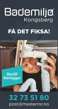 Annonse på trykk i Laagendalsposten