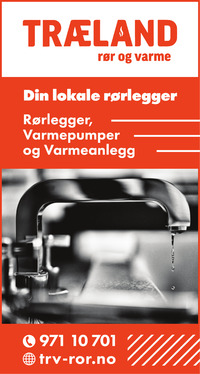 Annonse på trykk i Agder - Flekkefjords Tidende