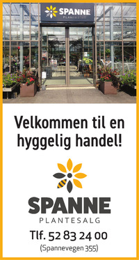 Annonse på trykk i Haugesunds Avis