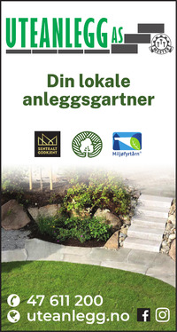 Annonse på trykk i Akershus Amtstidende