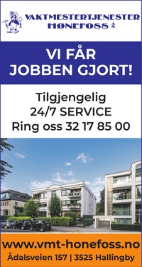 Annonse i Ringerikes Blad - Bygg og fagfolk