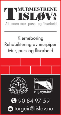 Annonse på trykk i Steinkjer-Avisa