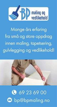 Annonse i Drammens Tidende - Bygg og fagfolk