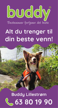 Annonse på trykk i Romerikes Blad