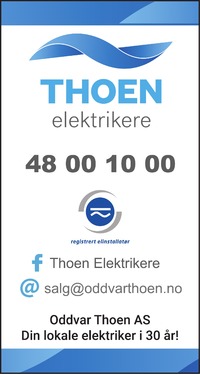 Annonse i Ringerikes Blad