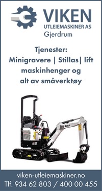 Annonse på trykk i Romerikes Blad
