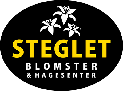 Logoen til KONGSBERG BLOMSTER OG HAGE AS