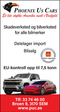 Annonse på trykk i Tønsbergs Blad