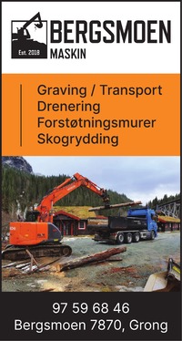 Annonse på trykk i Namdalsavisa