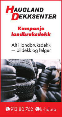 Annonse på trykk i Haugesunds Avis