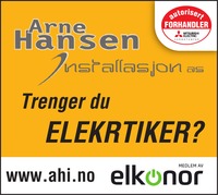Annonse i Hamar Dagblad