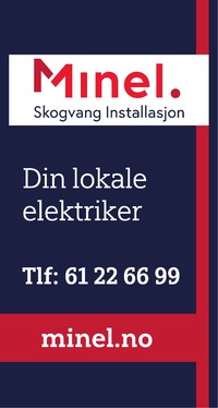 Annonse på trykk i Gudbrandsdølen Dagningen